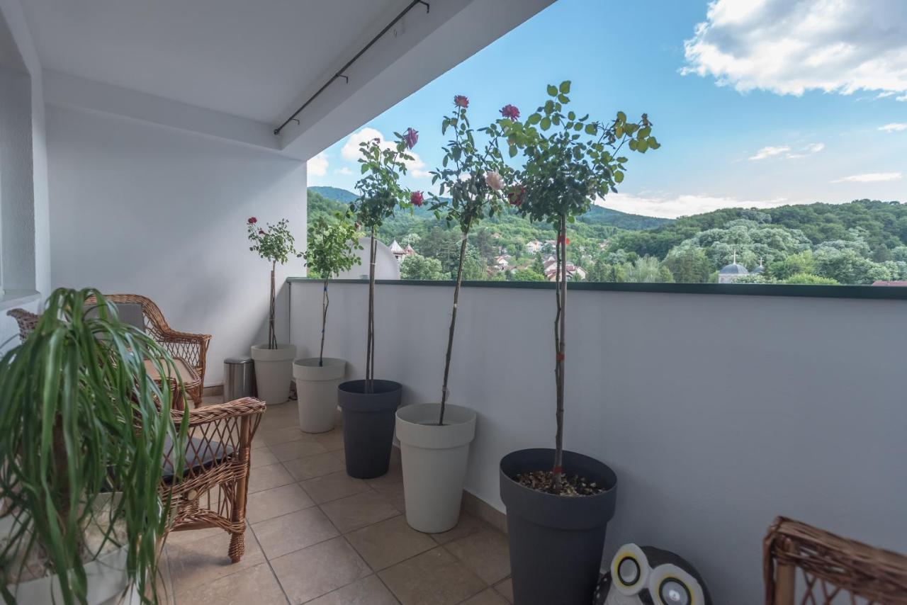 Onore Dell Amore Apartman Sa Djakuzijem Banja Koviljača Kültér fotó